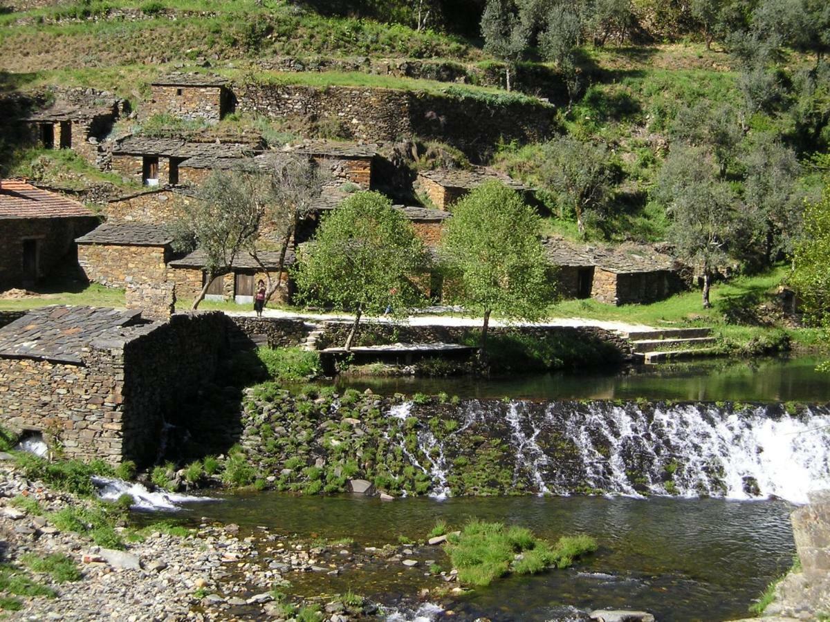 וילה נובה דה פויארס A Charming , Traditional Cottage At Quinta Da Ribeira מראה חיצוני תמונה
