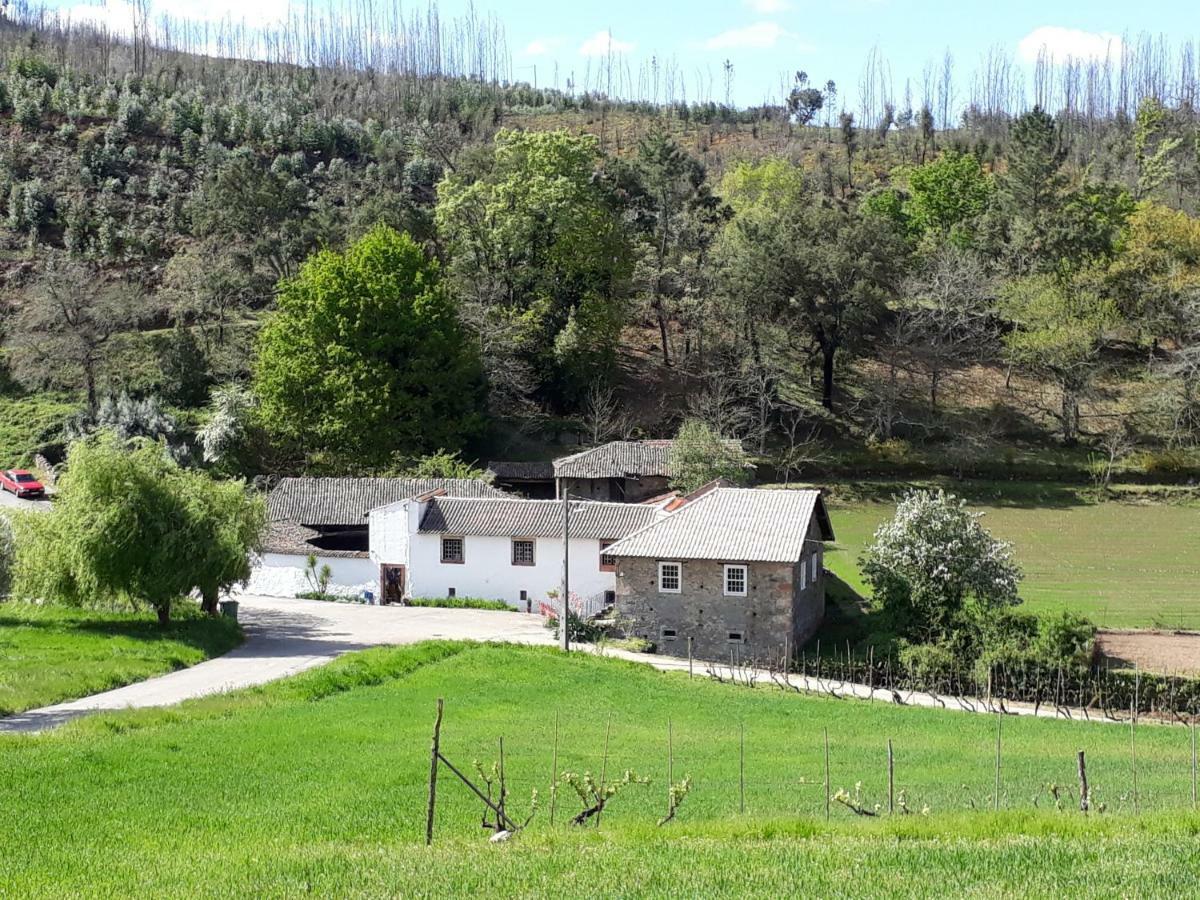 וילה נובה דה פויארס A Charming , Traditional Cottage At Quinta Da Ribeira מראה חיצוני תמונה